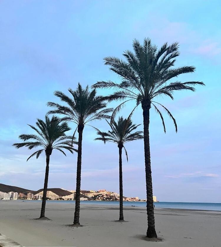 A 50 M De La Plage Cullera Εξωτερικό φωτογραφία